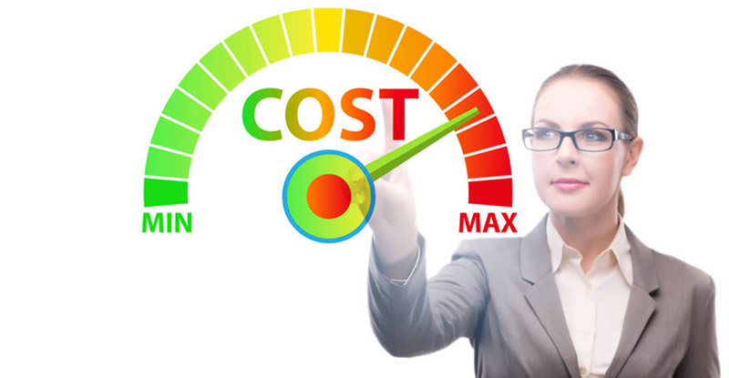 Image showing a businesswoman looking to optimize cost management