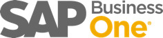 SMB Sap Business One logo