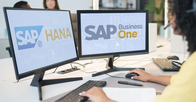 SAP HANA and SAP Business One - Artsyl